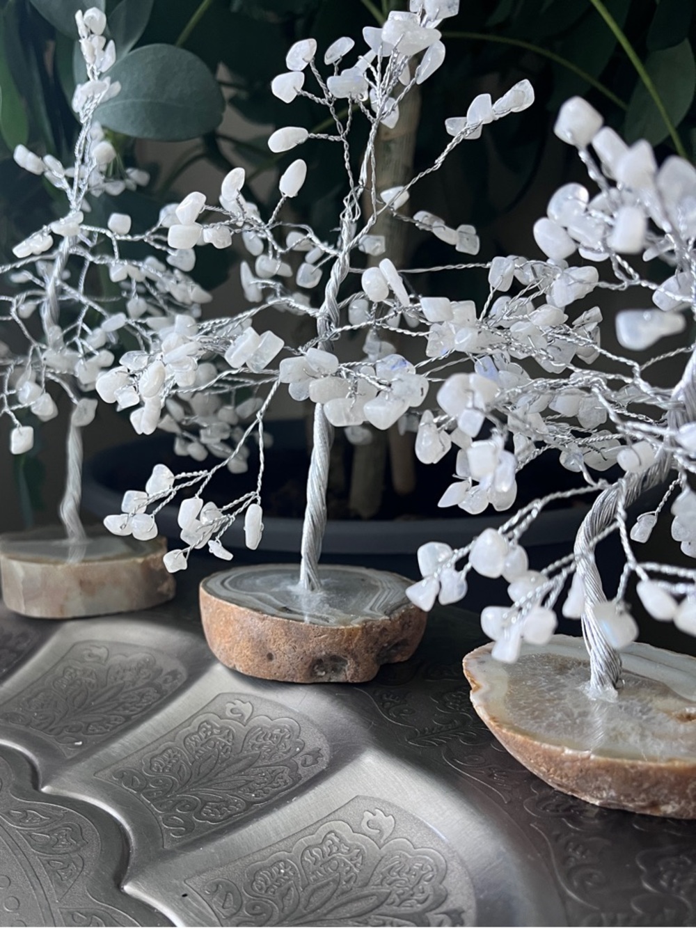 Moonstone tree with agate base